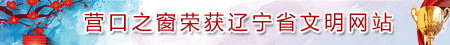 營口之窗榮獲遼寧省文明網站