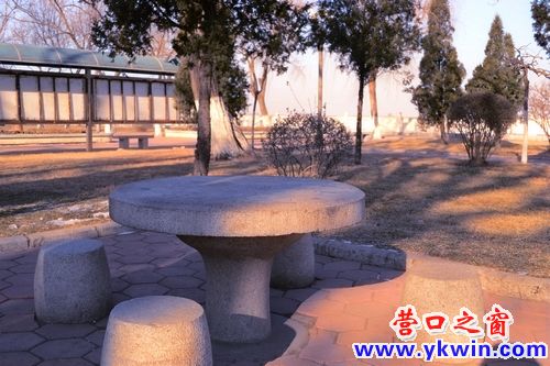 公園“情侶桌”