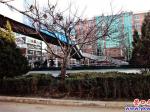 營(yíng)口大學(xué)過街天橋不得法