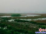 營(yíng)口市有個(gè)角