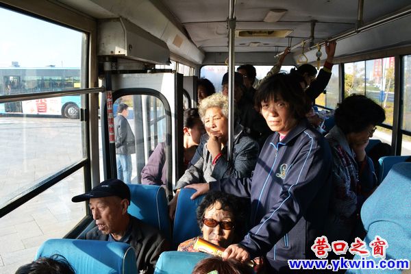營(yíng)口公交助力農(nóng)博 市民稱贊