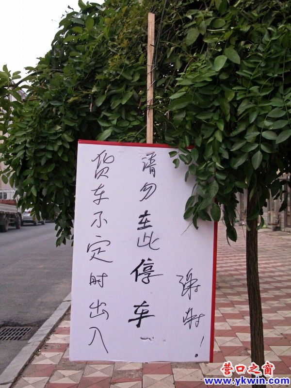 小樹很受傷  請勿在此掛
