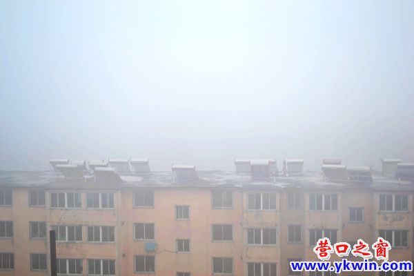 營口一月迎來大霧天氣