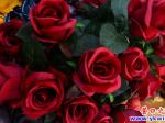 鮮花送健康 過(guò)年喜洋洋