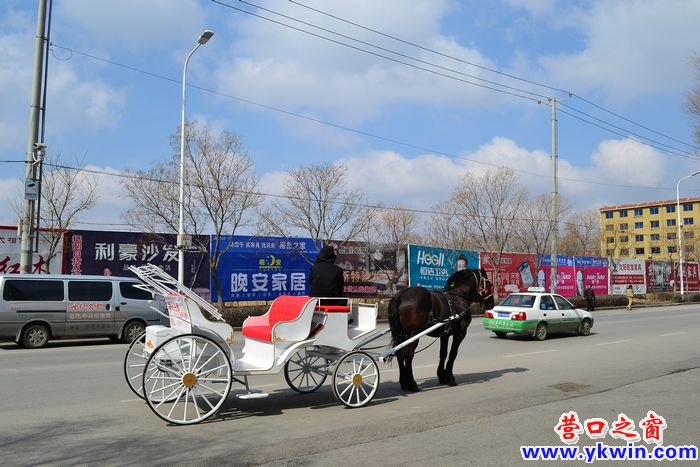 馬車婚禮 浪漫無限