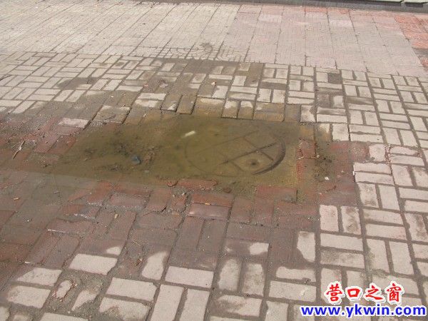 盼盼路北下水道‘反水現象’嚴重