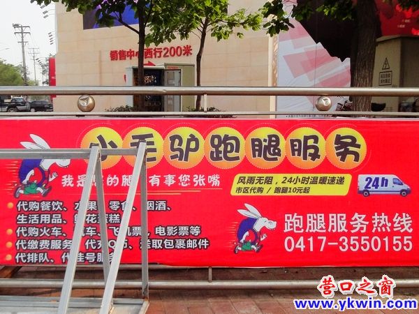 營口最近來了幾頭小毛驢
