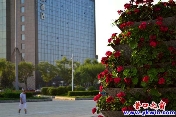 挖社會主義花壇請注意
