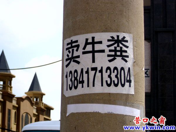 賣牛糞的廣告貼進城
