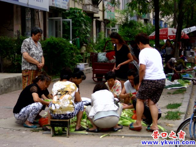 青青嫩苞米 天天跳農門