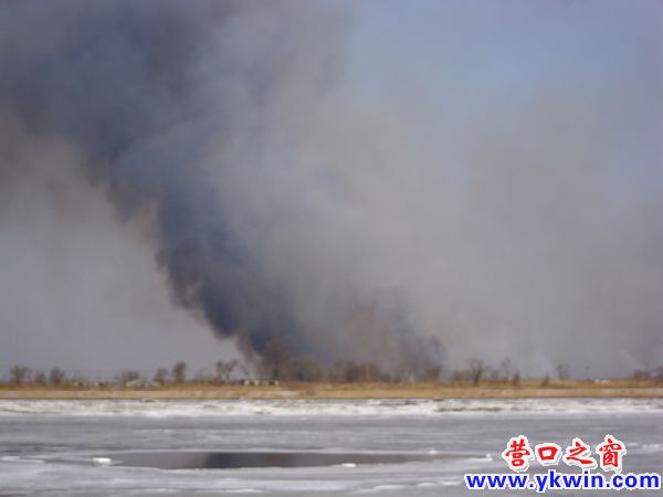 營口河北葦田發(fā)生無名大火
