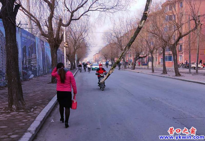 樹干懸空擋道   傷人傷車誰管