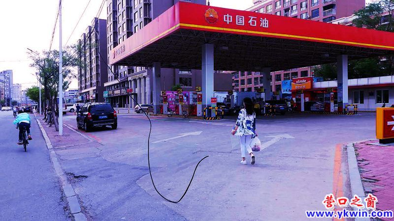 營口市新興大街：電纜線觸地  危險(xiǎn)