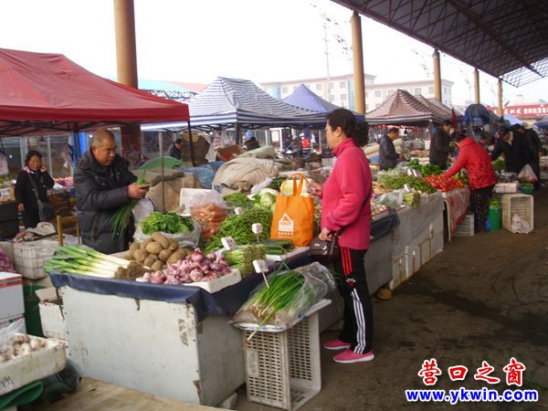 新蒜上市 老蒜貶值