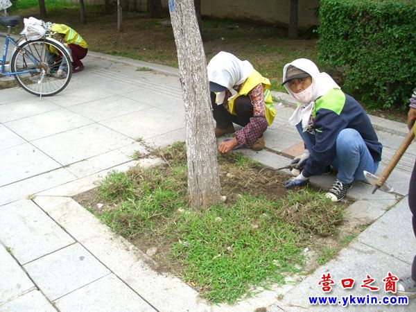 營口市：綠化人變身除綠人