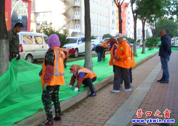 渤海大街綠化帶又鋪防塵網