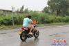 人行道荒草叢生1