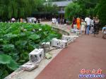 營口楞嚴寺公園荷花湖事件初步調查結果