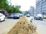 營口市道岔子兩條“手術”路（街）段停工亟待復工
