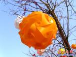 營(yíng)口遼河廣場(chǎng)和人民公園大樹(shù)結(jié)新“果”