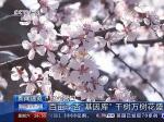 厲害！營口又上央視新聞了