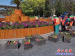 營口楞嚴寺公園：花壇又熱鬧起來了