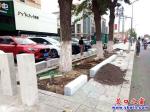營口市學(xué)府路綠化帶鳥槍換炮