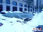 營口市暴雪后大菜市戛然而止