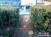 跨欄2