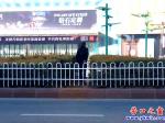 營口市：安上護(hù)欄，行人照樣橫穿市府路