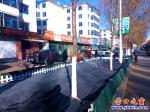 營口市：路邊月季花 冬天蓋毯子