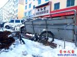 僵尸自行車 從夏睡到冬