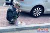 暖心！警車護送老人回家2